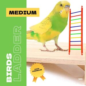 Bird Ladder