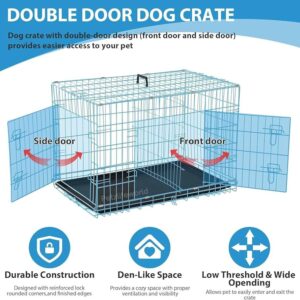 Dog Cage