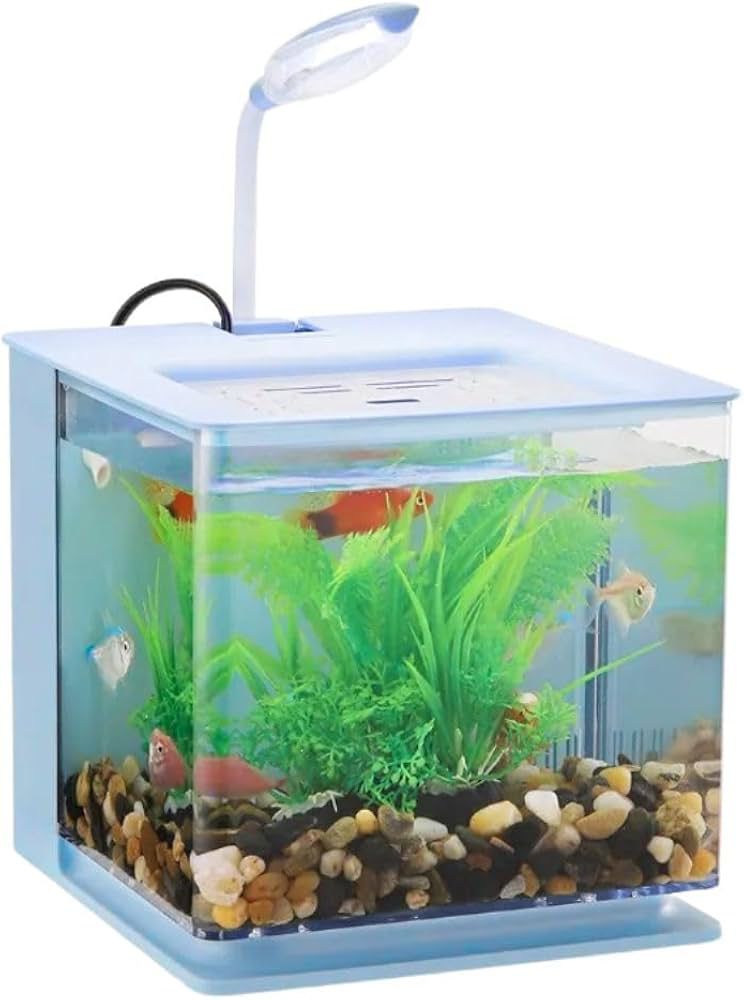 Compact Acrylic Fish Aquarium Tank
